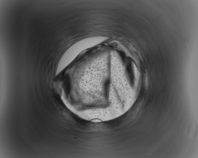 X0000087050428200705160955