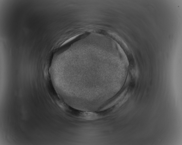 X0000087050429200705160955