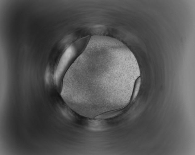 X0000087050432200705160955