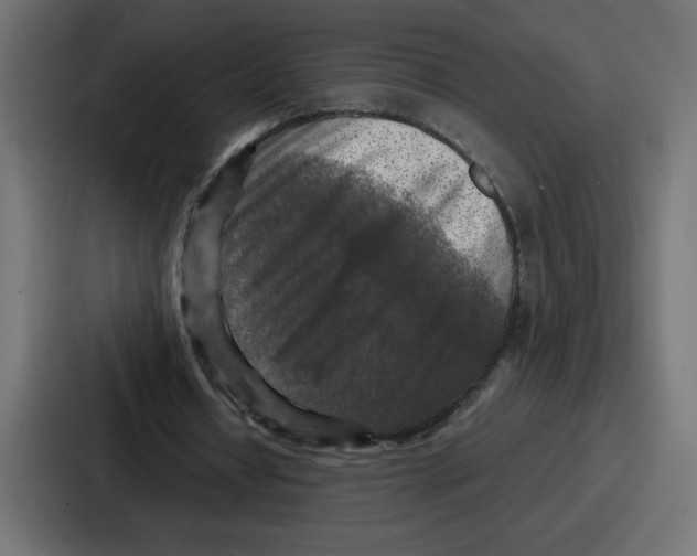 X0000087050434200705160954