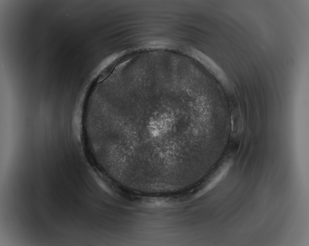 X0000087050436200705160954