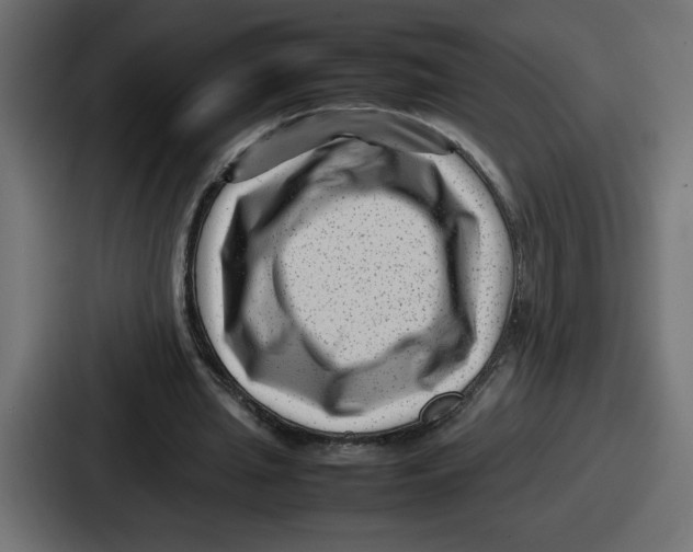 X0000087050437200705160954