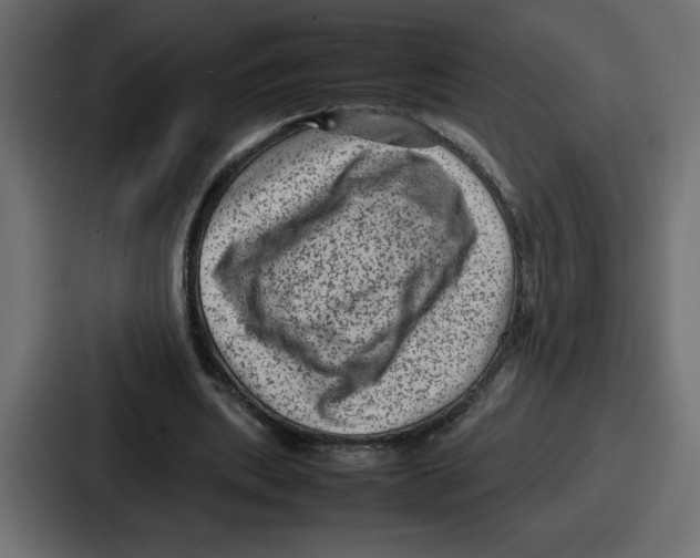 X0000087050439200705160955