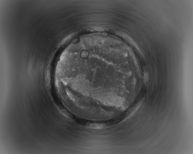 X0000087050444200705160955