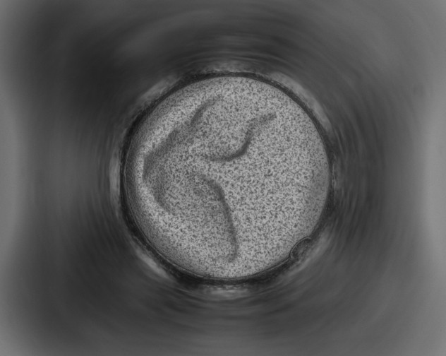 X0000087050445200705160955