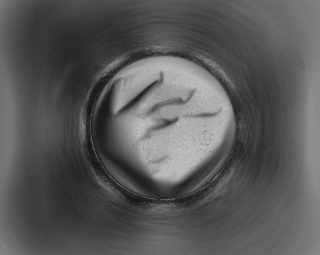 X0000087050446200705160955