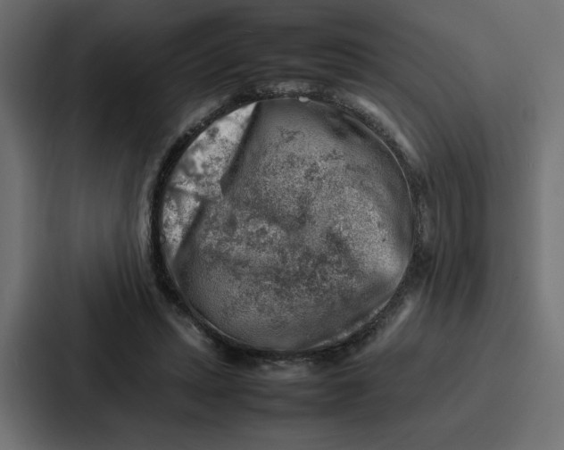 X0000087050447200705160955