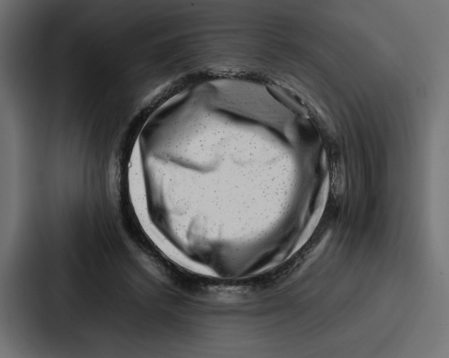 X0000087050448200705160955