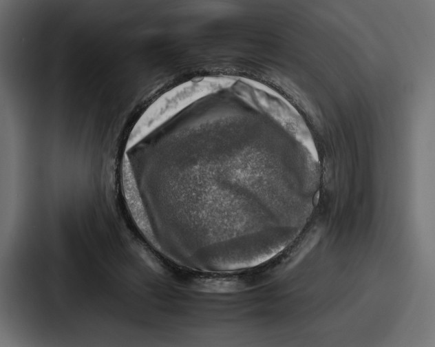 X0000087050449200705160955