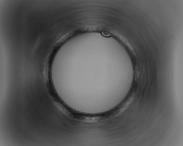 X0000087050450200705160955