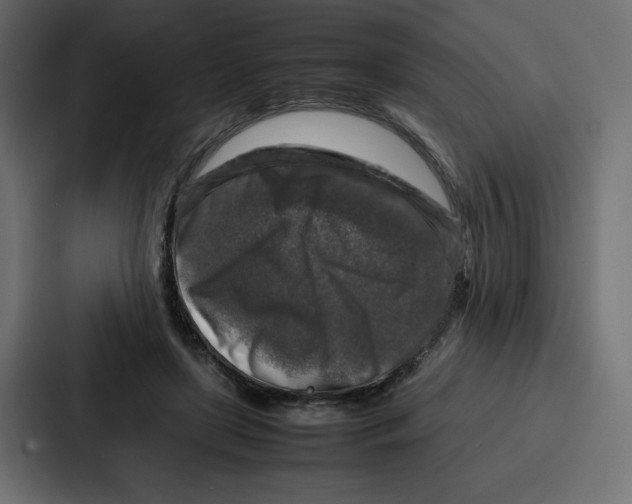 X0000087050451200705160955