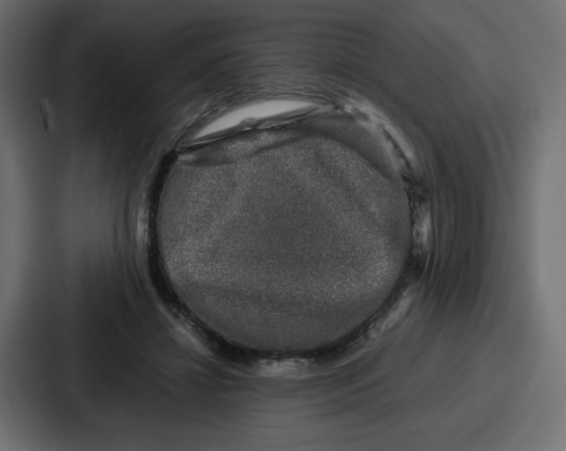 X0000087050452200705160955