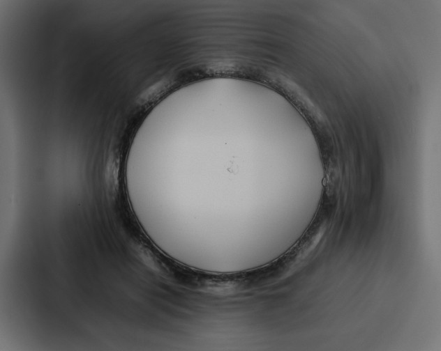 X0000087050454200705160955