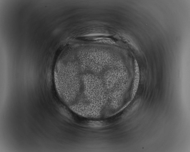 X0000087050457200705160955