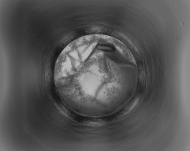 X0000087050459200705160955