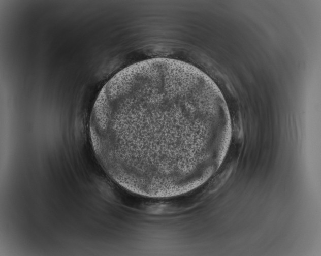 X0000087050460200705160955