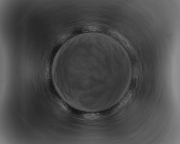 X0000087050465200705160955