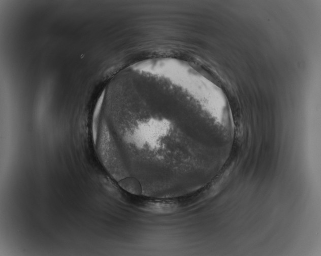 X0000087050466200705160955