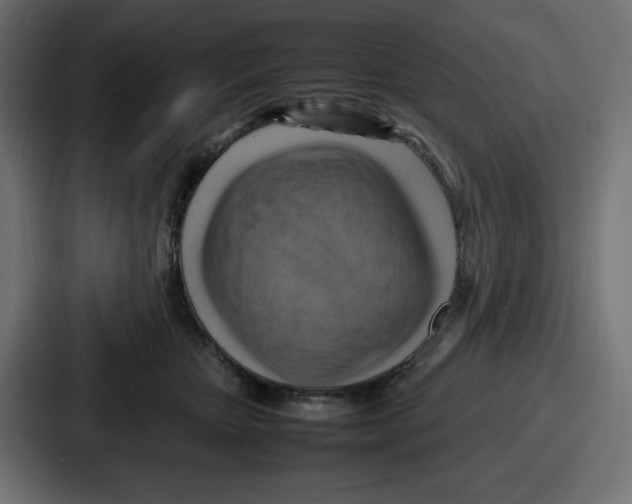 X0000087050467200705160955