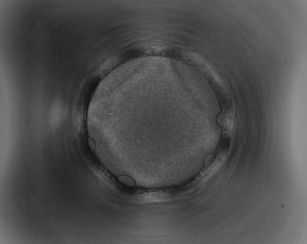 X0000087050468200705160955