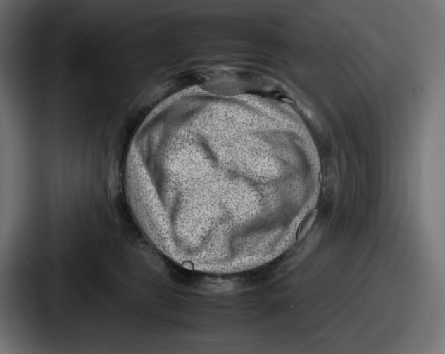 X0000087050469200705160955