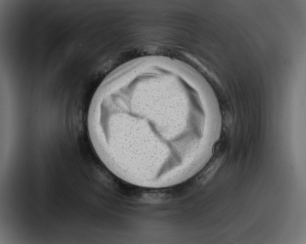 X0000087050470200705160955