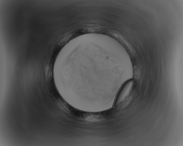 X0000087050471200705160955