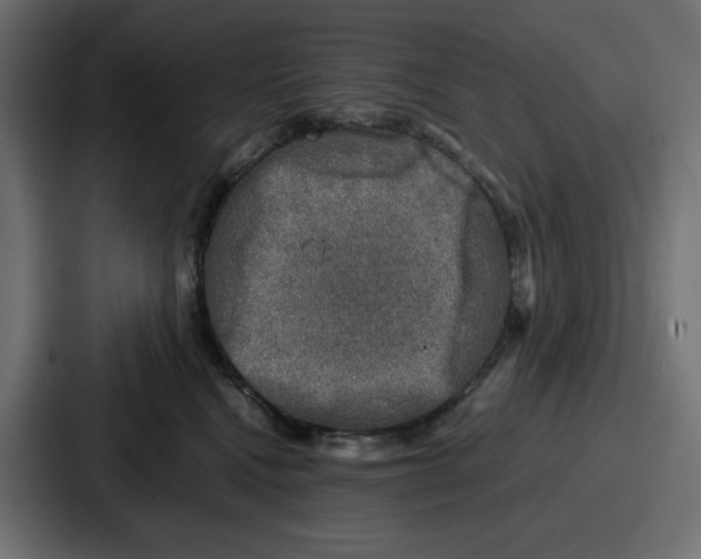 X0000087050472200705160955