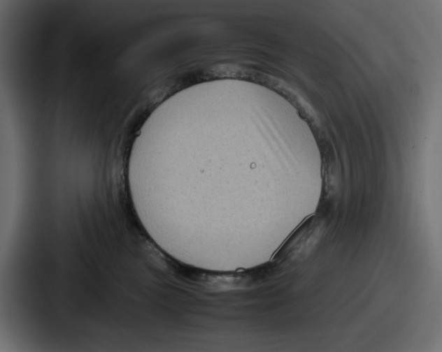 X0000087050473200705160955