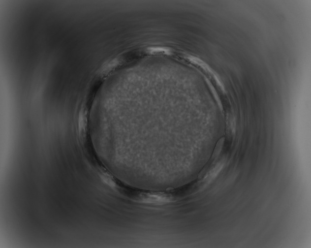 X0000087050475200705160955