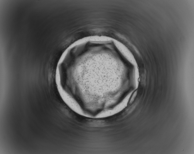 X0000087050476200705160955