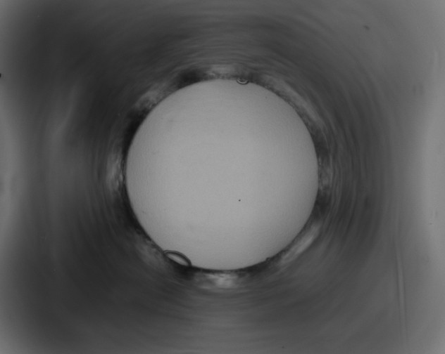 X0000087050478200705160955