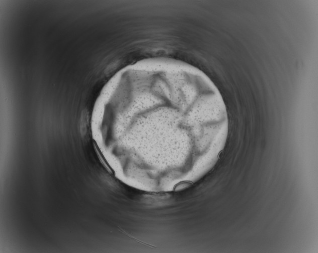 X0000087050480200705160955