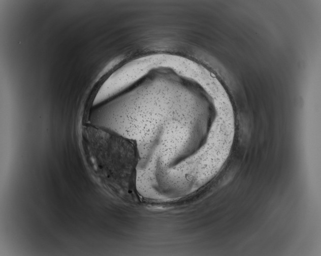 X0000087050482200705160954