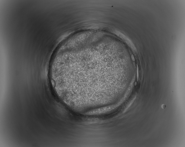 X0000087050483200705160954