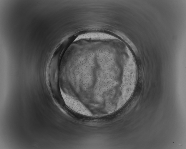 X0000087050485200705160954