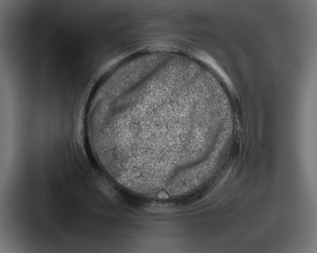 X0000087050487200705160954