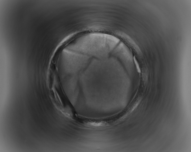 X0000087050488200705160954