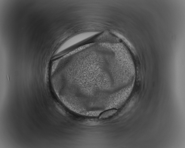 X0000087050489200705160954