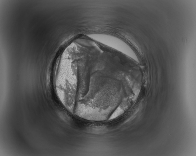 X0000087050491200705160954