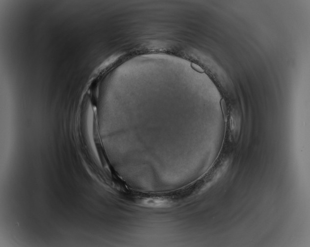 X0000087050492200705160954