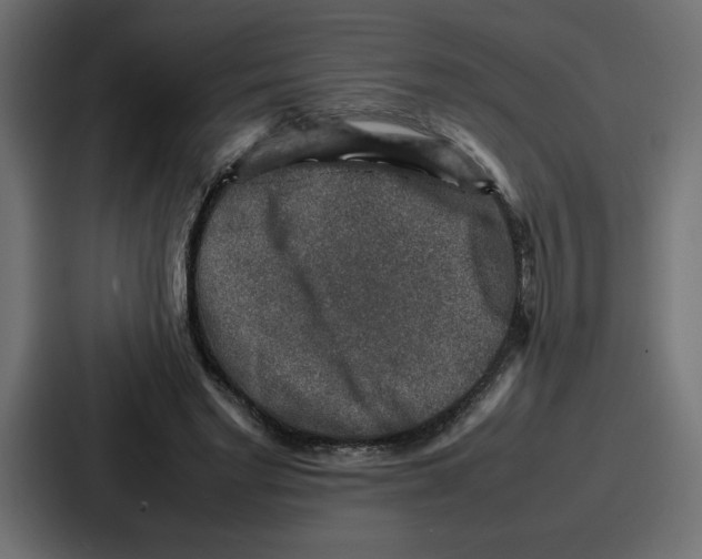 X0000087050493200705160954