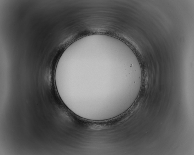 X0000087050494200705160954