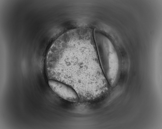 X0000087050495200705160954