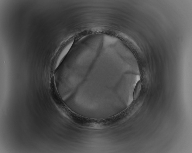 X0000087050496200705160954