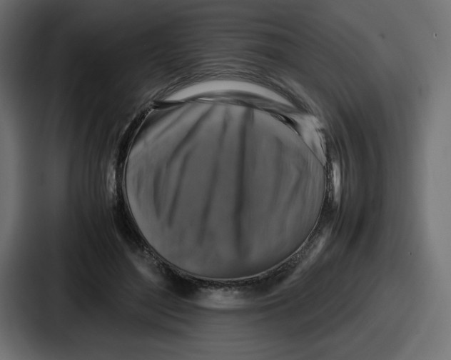 X0000087050500200705160954