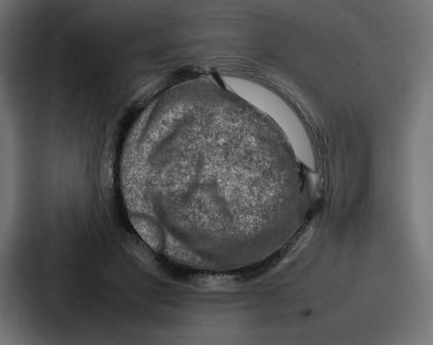 X0000087050501200705160954