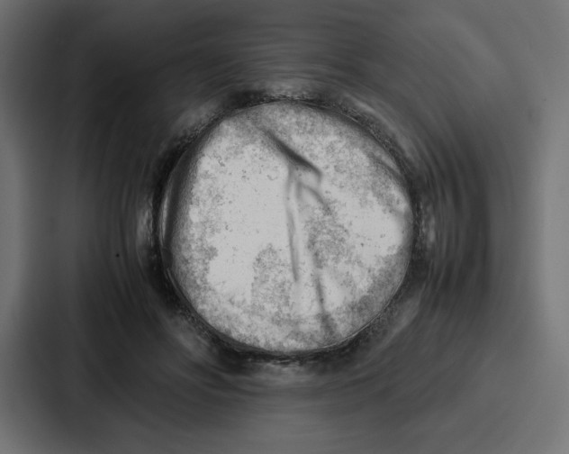 X0000087050502200705160954