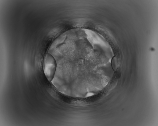 X0000087050503200705160954