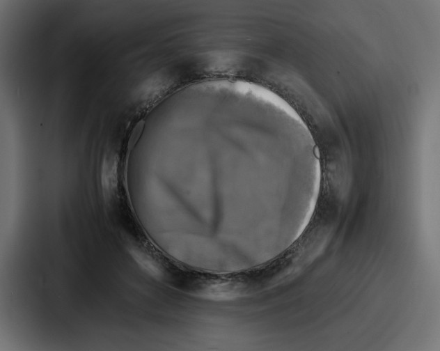 X0000087050504200705160954